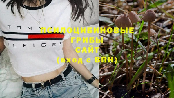гашик Нея