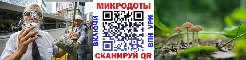 как найти наркотики  кракен как войти  Галлюциногенные грибы прущие грибы  Сунжа 