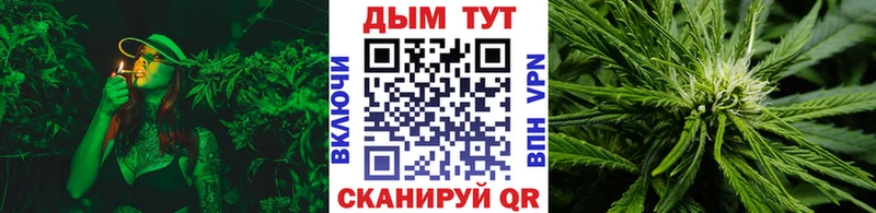KRAKEN маркетплейс  Сунжа  Марихуана семена 